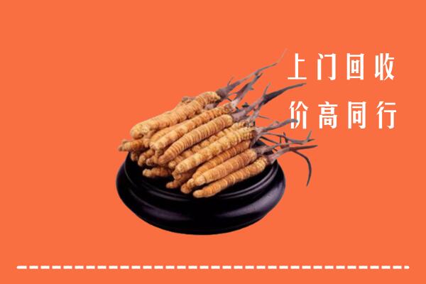 高价求购：澄城县回收散虫草