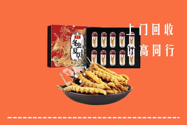 澄城县回收虫草